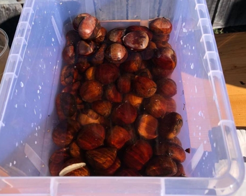 images/news/Gallery%20Aktuelles/abfliegen25.1.jpg#joomlaImage://local-images/news/Gallery Aktuelles/abfliegen25.1.jpg?width=507&height=404