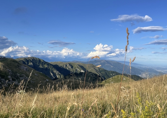 images/news/Gallery%20Aktuelles/roadtrip3.jpg#joomlaImage://local-images/news/Gallery Aktuelles/roadtrip3.jpg?width=570&height=404