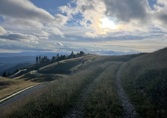 images/news/Gallery%20Aktuelles/roadtrip6.jpg#joomlaImage://local-images/news/Gallery Aktuelles/roadtrip6.jpg?width=570&height=404